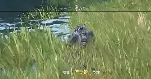龙岛异兽起源神秘图腾解锁方法详解