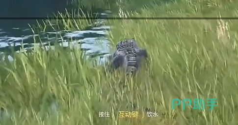 龙岛异兽起源火元素图腾场景示意图