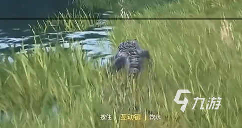 龙岛异兽起源神秘图腾解锁方法详解