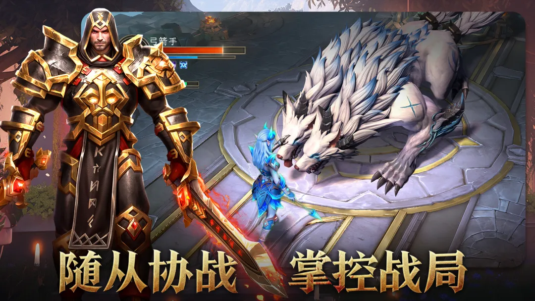 弓箭手与法师职业对比图