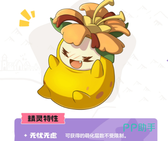 菊花梨外观设定图