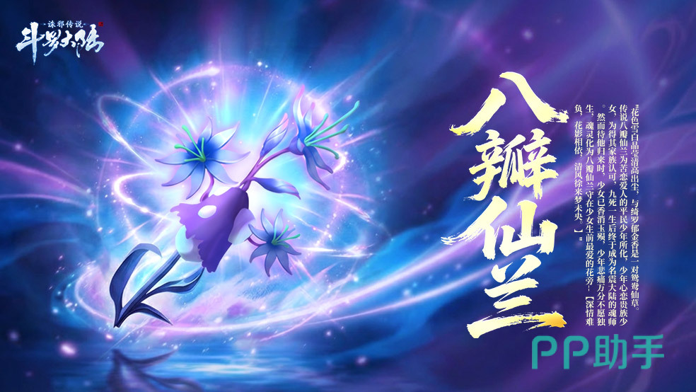 八瓣仙兰生长环境图