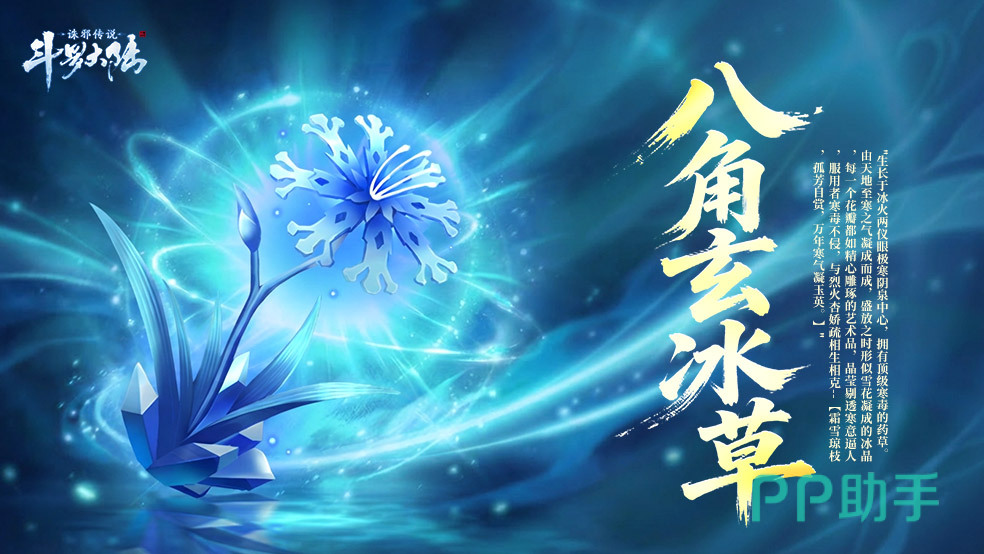 八角玄冰草实景图