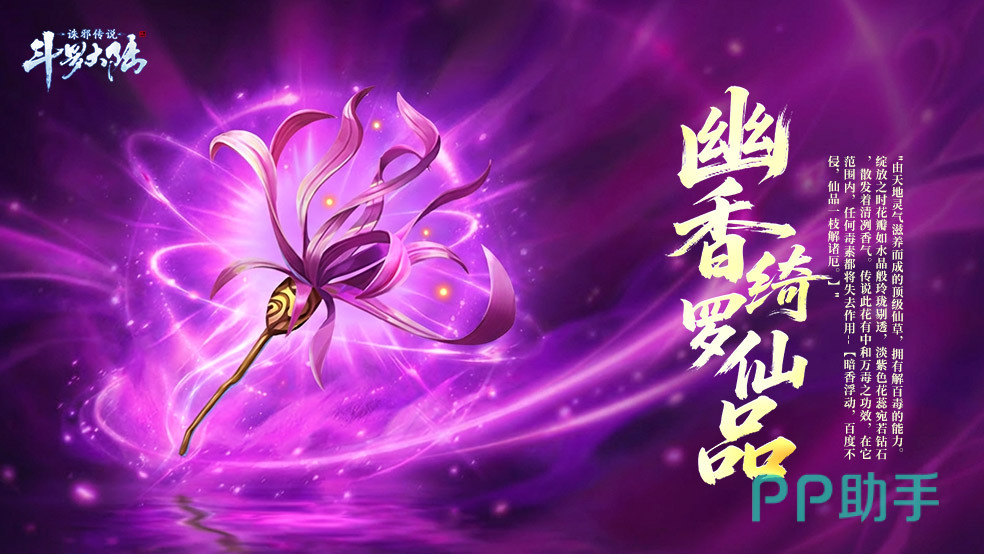 幽香绮罗仙品与相思断肠红对比图