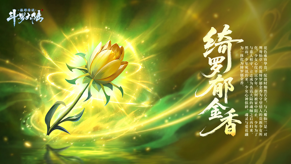 绮罗郁金香特写图