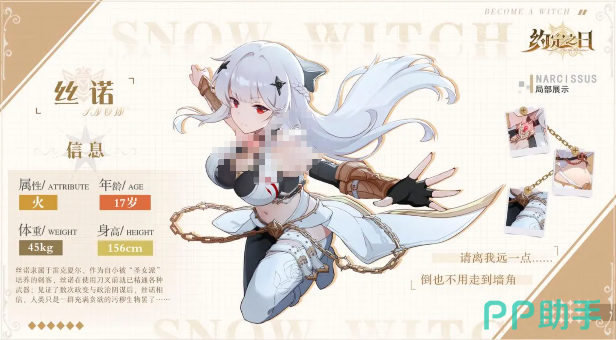 海维纳与丝诺组合示意图