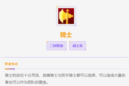 飞飞无限宇宙骑士属性面板展示图
