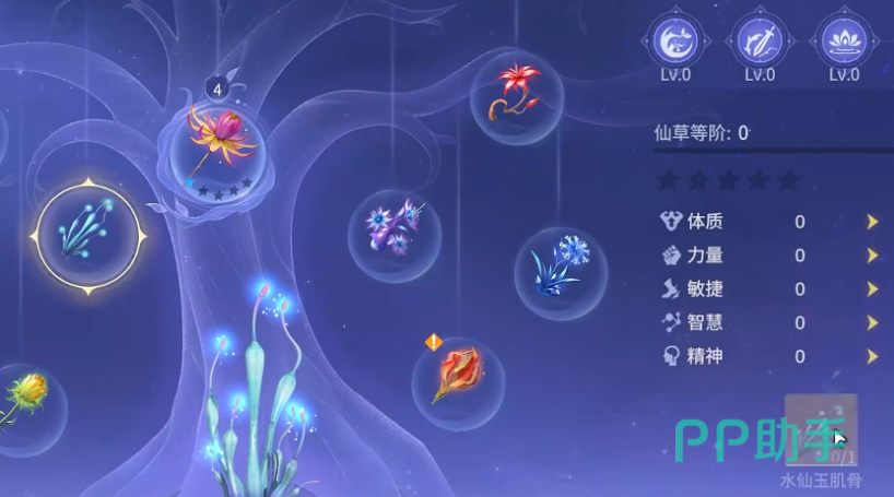 星斗大森林仙草分布路线图