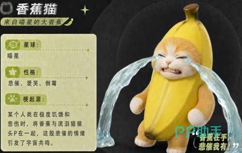 九游平台福利活动界面示意图