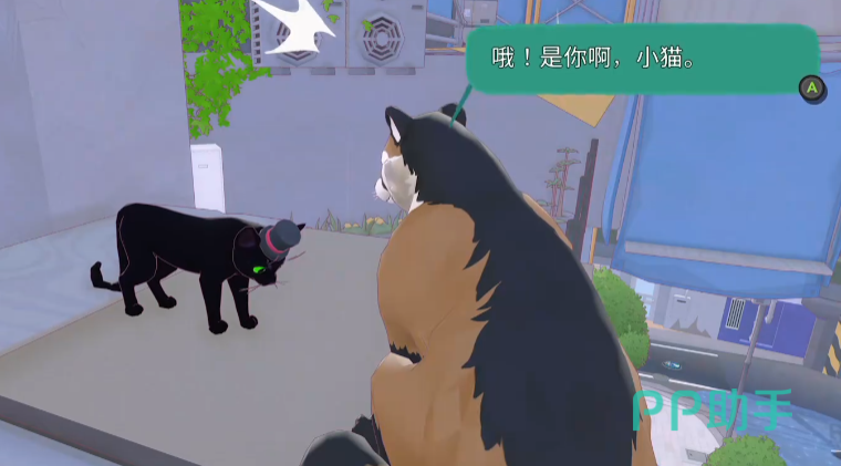 小猫咪大城市与狸猫对话场景