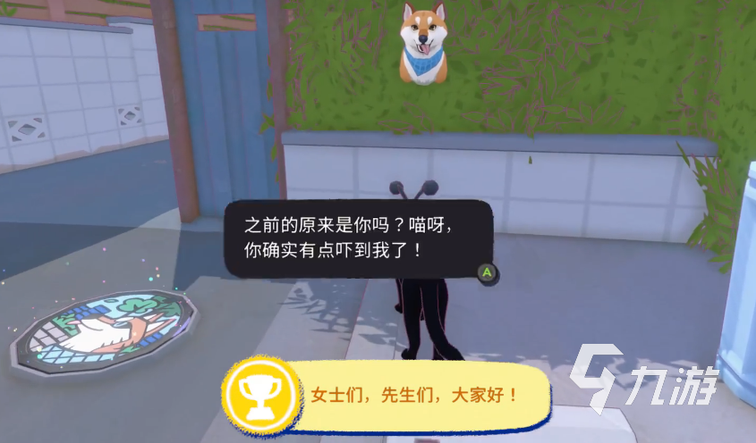 小猫咪在大城市遇到狗怎么办?实用应对指南
