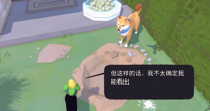 小猫咪大城市第二颗网球藏于阳台花盆