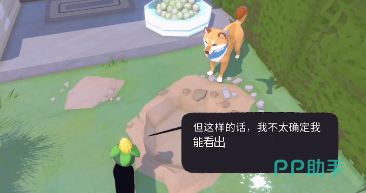 小猫咪大城市第二颗网球藏于阳台花盆