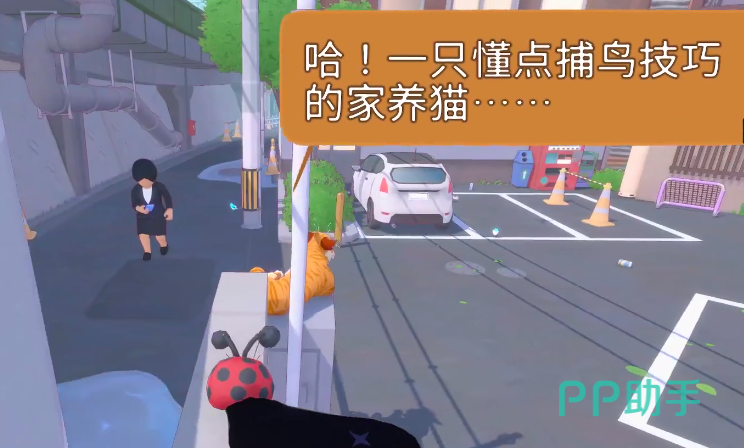 小猫咪大城市泰菲任务第三张指引图:泰菲所在平台与交互界面