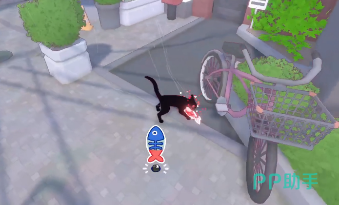 小猫咪大城市鱼位置示意图二
