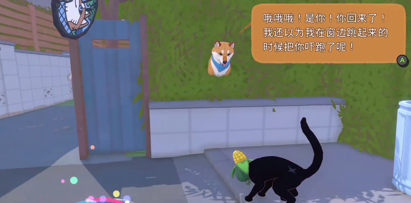 小猫咪在大城市如何与狗狗相处并一起玩球：实用指南