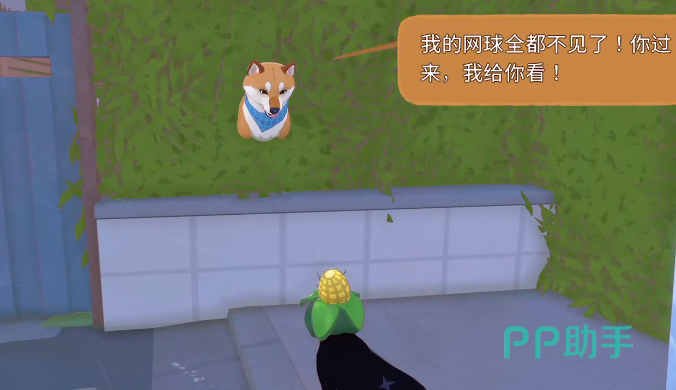 小猫咪大城市第一颗网球位于鸟窝
