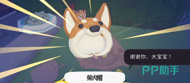 小猫咪大城市柴犬帽奖励展示