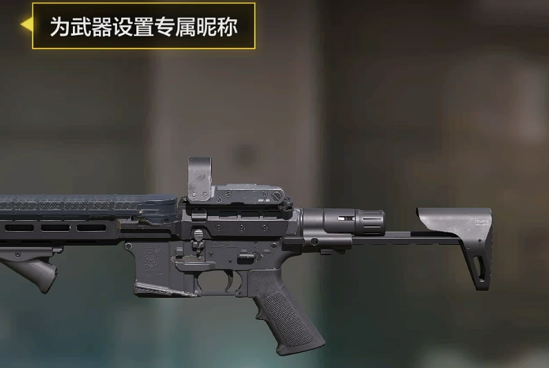 巅峰段位与等级展示界面