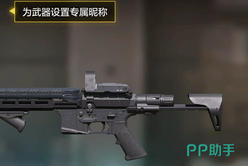 巅峰段位与等级展示界面