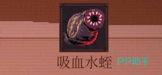 吸血水蛭叠层数值对比图