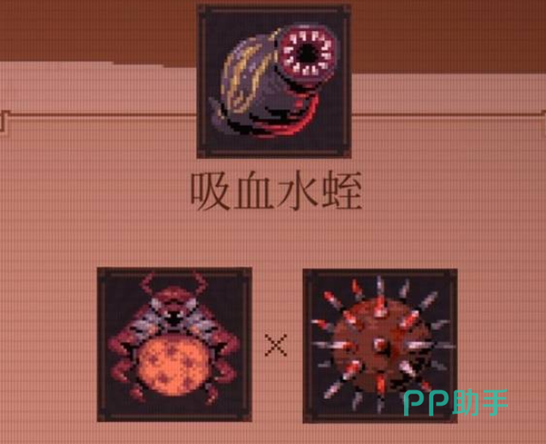 吸血水蛭流血层数成长对比图