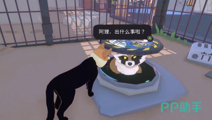 小猫咪大城市攀爬过程示意图:空调外机平台作为中途休息点