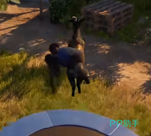 深入虎穴任务场景