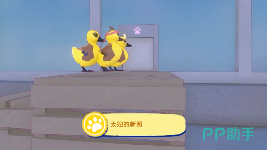 小猫咪大城市太妃住宅正门特写:粉红色猫爪印标识清晰可见
