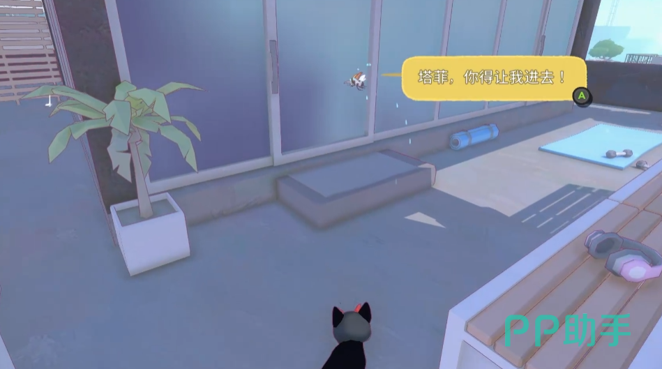 小猫咪大城市外围庭院视角:铁栅栏与穿行孔位置示意