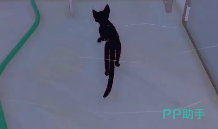 小猫咪大城市游戏界面截图一