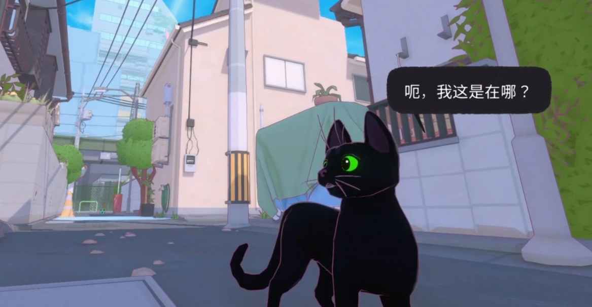 小猫咪大城市太妃新照任务详细攻略