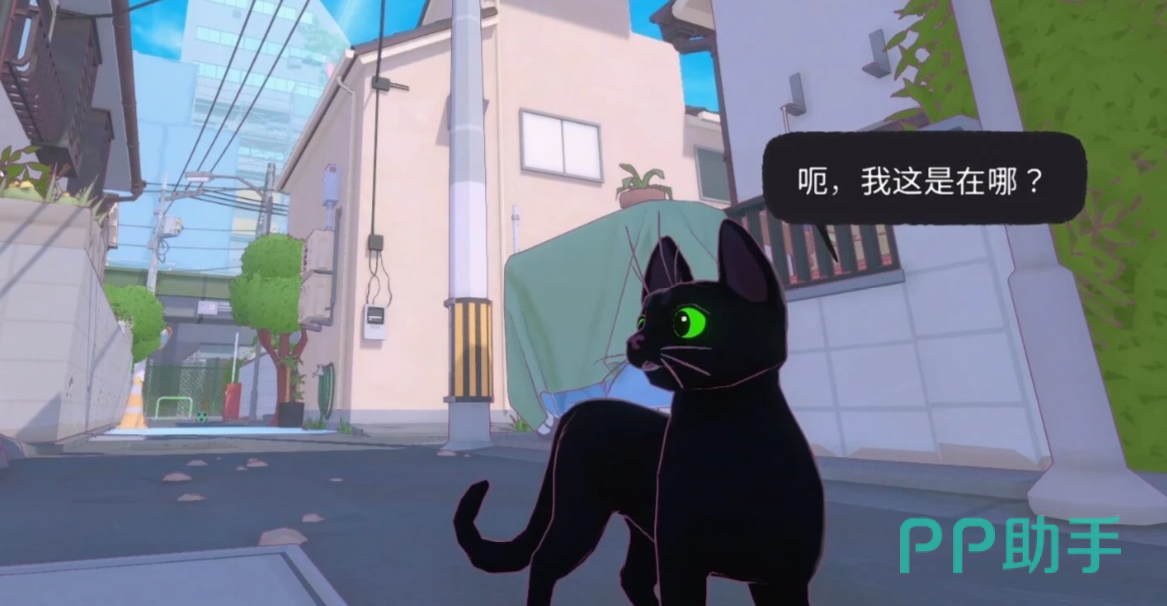 小猫咪大城市太妃任务起始点示意图