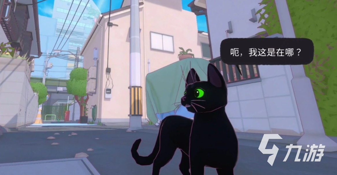 小猫咪大城市太妃新照任务详细攻略