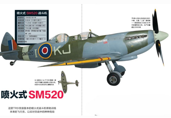 FW-190 D12 朵拉战机特写