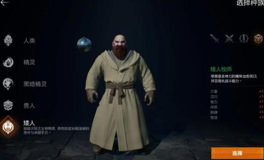 天堂2盟约牧师职业展示图