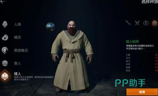 天堂2盟约牧师职业展示图