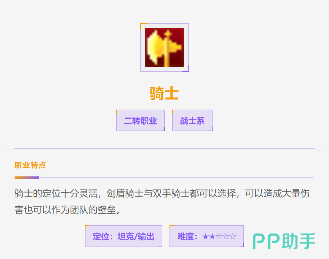 飞飞无限宇宙骑士职业形象图