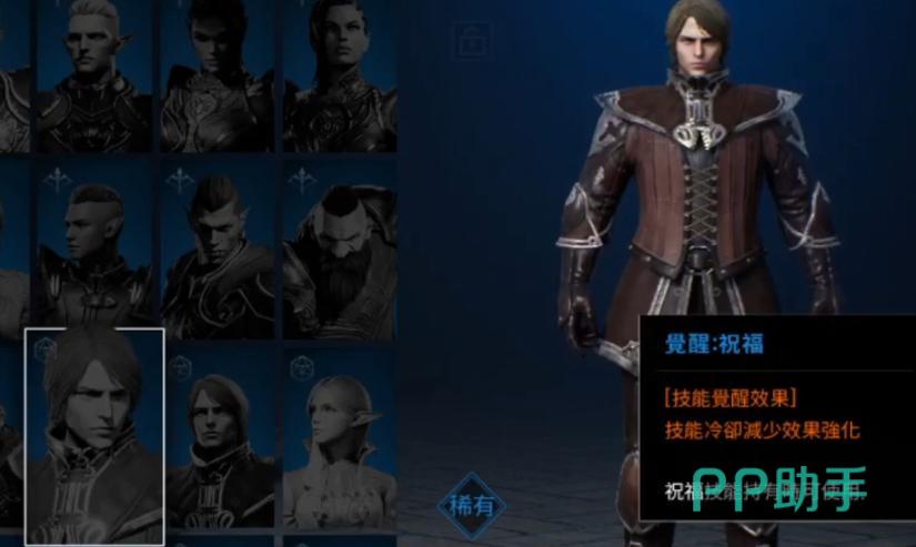 魔珠智慧与体质加点示意图