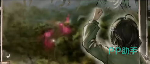 昙露凝角色立绘