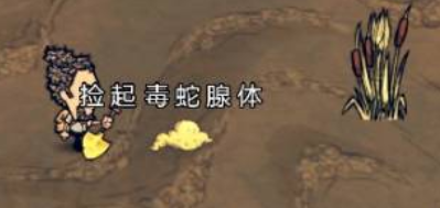 饥困荒野毒气坑地形警示图