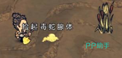 饥困荒野毒气坑地形警示图