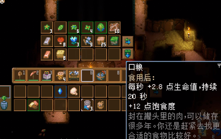 护核纪元莓果项链道具界面