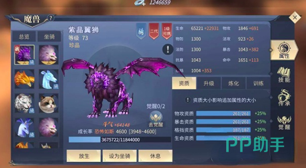 紫晶翼狮王形象展示图
