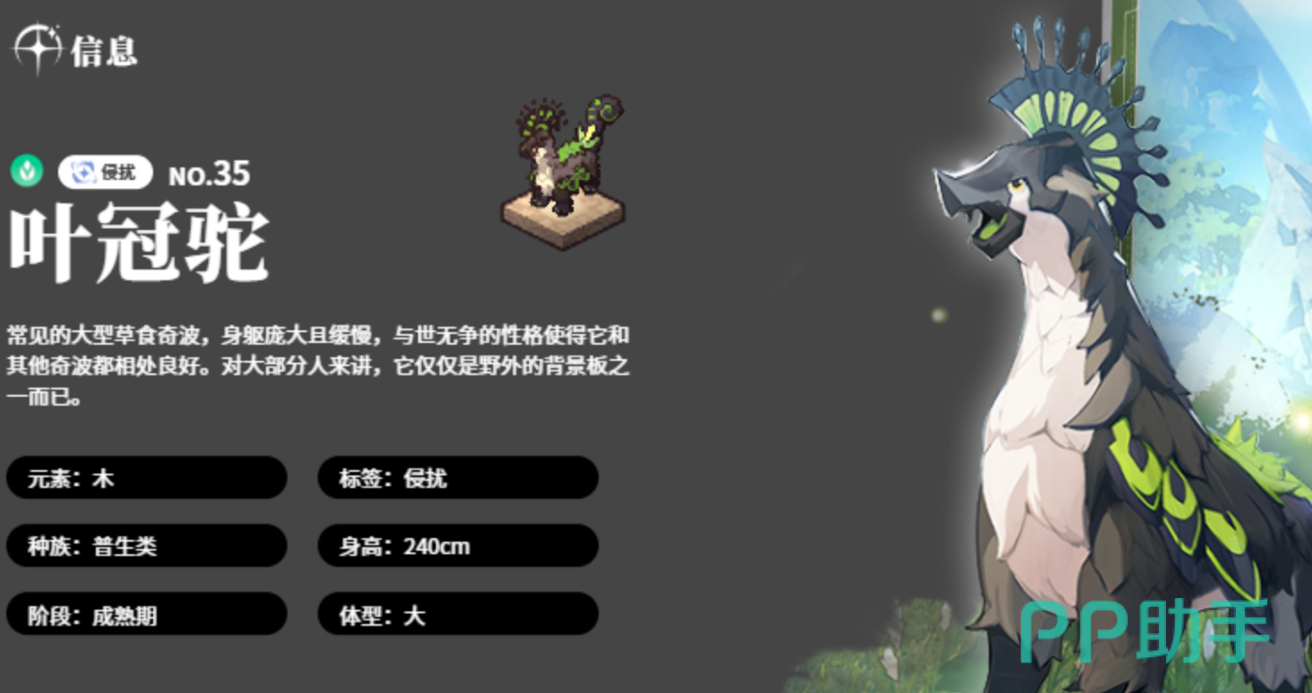 蓝色星原旅谣奇波选择攻略示意图二