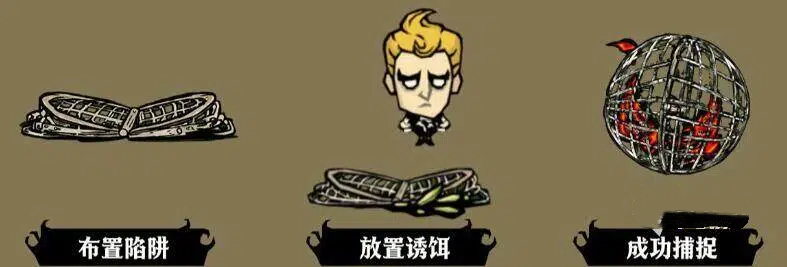 饥困荒野鸟类资源利用方式说明图