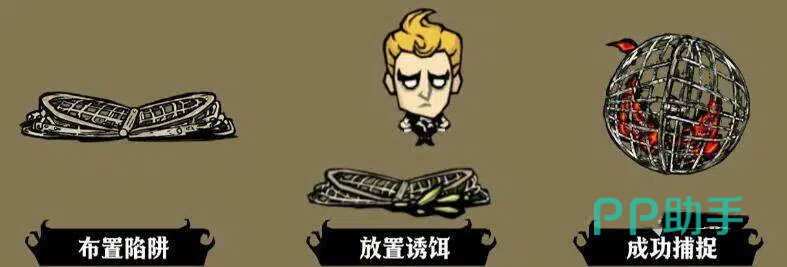饥困荒野鸟类资源利用方式说明图