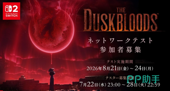 biubiu加速器技术架构示意图