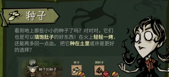 饥困荒野泰国丛林可食用植物特写图