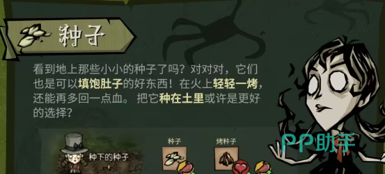 饥困荒野泰国丛林可食用植物特写图